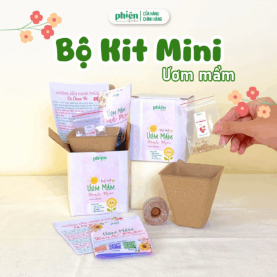 Bộ Kit Ươm Mầm Gieo Hạt Mini Tự Trồng - Cà Chua Bi, Cải Ngọt ,Hướng Dương