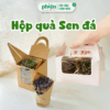 Quà Tặng Sen Đá Chậu Gốm