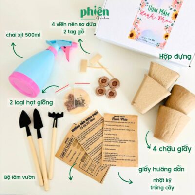 Bộ Kit Ươm Mầm Hạnh Phúc Bé Tự Trồng Cây Gieo Hạt Cà Chua