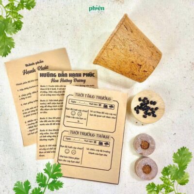 Bộ Kit Ươm Mầm Gieo Hạt Mini, Bộ Kit Ươm Mầm Hạnh Phúc, Bộ Kit  Gieo Hạt Tự Trồng - Cà Chua Bi, Cải Ngọt ,Hướng Dương