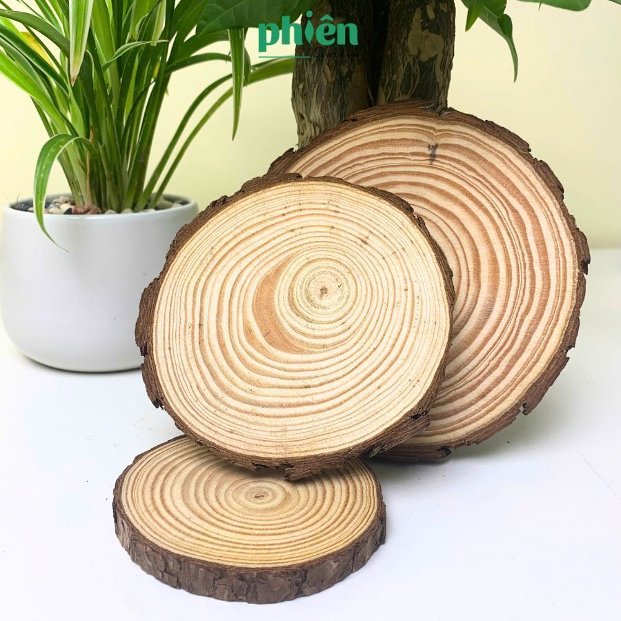 Đĩa Lót Gốm Sứ Nhựa Đế Gỗ Kê Chậu Cây Để Bàn, Phụ Kiện Chống Thấm Nước Bảo Vệ Mặt Bàn