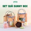 [Hoả Tốc] Set Tốt Nghiệp Sunny Box Hộp Quà Tặng Đồng Nghiệp, Doanh Nghiệp, Đối Tác, Bạn Bè Sen Đá Và Sáp Thơm Hoa Cúc Ý