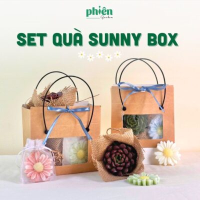 [Hoả Tốc] Set Tốt Nghiệp Sunny Box Hộp Quà Tặng Đồng Nghiệp, Doanh Nghiệp, Đối Tác, Bạn Bè Sen Đá Và Sáp Thơm Hoa Cúc Ý