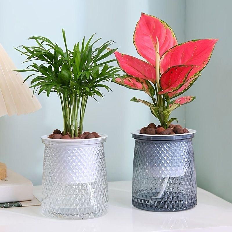 Chậu Thuỷ Sinh trồng cây, Chậu Tự Tưới, Dành Cho Cây Thuỷ Canh, Cây Để Văn Phòng