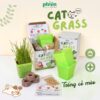 Bộ Kit Tự Trồng Cỏ Mèo, Bộ Trồng Cây Đã Gồm Hạt Giống, Dễ Trồng, Nhanh Nảy Mầm