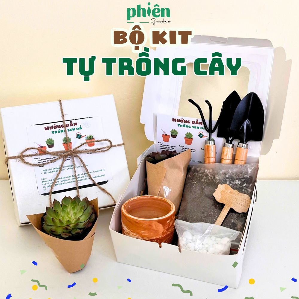 Bộ Kit Tự Trồng Cây Sen Đá Làm Quà Tặng Dễ Chăm Tại Nhà Bộ Dụng Cụ Tự Trồng Cây