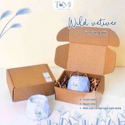 Hộp Quà Tặng Nến Thơm Cốc Thạch Cao, Màu Pastel Xinh Xắn, Tặng Bạn Bè, Người Yêu, Đồng Nghiệp