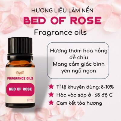 Bộ Kit Tự Làm Nến Thơm Cốc Xi Măng Siêu Dễ, Đầy Đủ Nguyên Liệu Phụ Kiện
